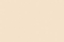348_fs15_krem