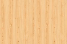 419_fs24_vilagos_fenyo